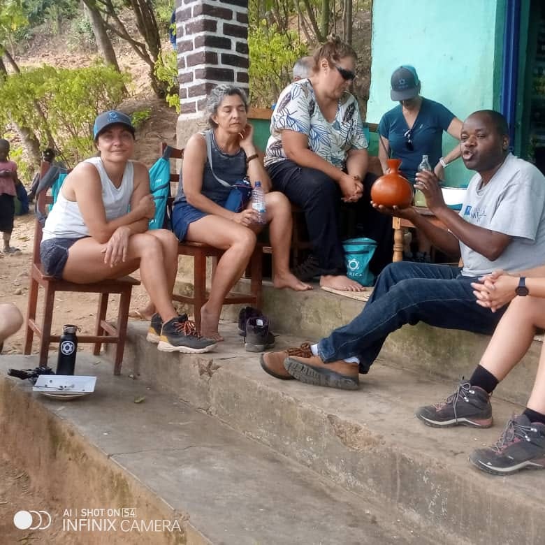 Mountain Gorilla in Rwanda